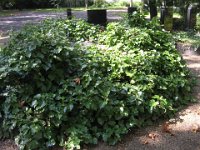 03 Vörös brigád - 1945